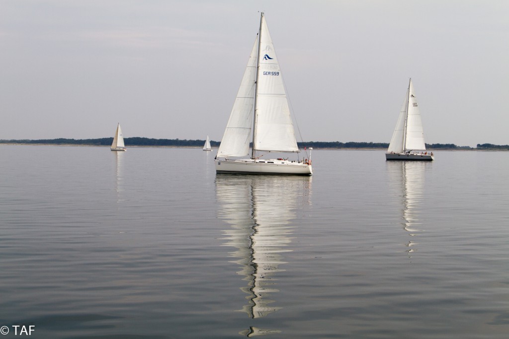 Thomas Anders - "Vor Hiddensee. Totale Flaute. Einige Boote melden: Wir fahren rückwärts über Grund."